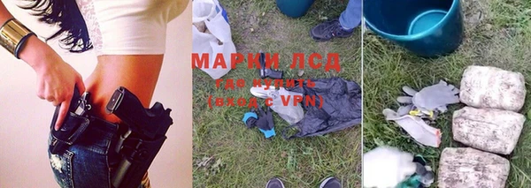 спайс Аркадак