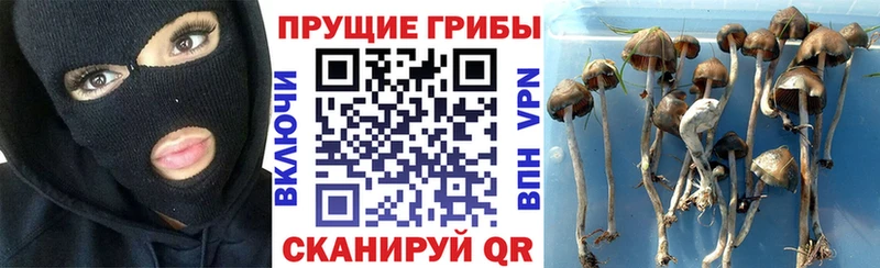 Псилоцибиновые грибы MAGIC MUSHROOMS  Порхов 